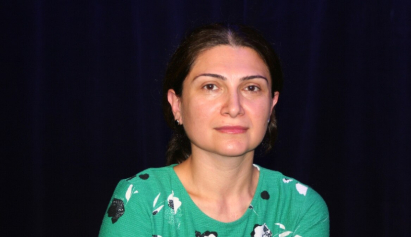 "მთავრობა ნამდვილად არ აპირებს რაიმე შეზღუდვა დაუწესოს რუსებს" -  ანალიტიკოსი