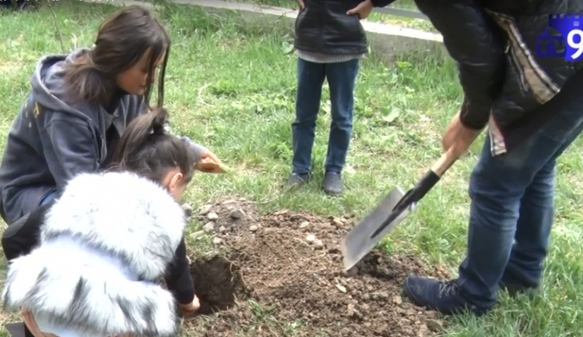  “დარგე შენი ხე და იზრუნე მასზე” – ახალციხის სკოლები გამწვანების აქციაში ჩაერთვნენ