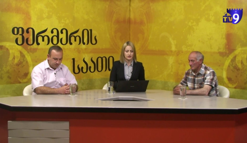 "ფერმერის საათი" – მეცხვარეობა და დარგის განვითარებასთან დაკავშირებული პრობლემები