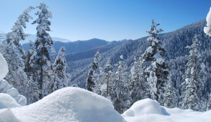 ბორჯომ-ხარაგაულის პარკმა "ყველაზე მრავალფეროვანი დაცული ტერიტორიების" ტიტული მოიპოვა