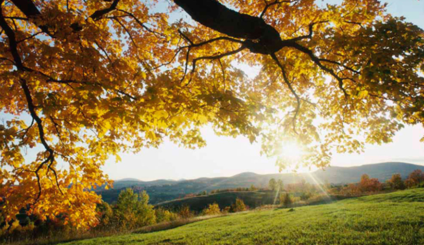 საქართველოში გამოიდარებს - როგორია სინოპტიკოსების პროგნოზი