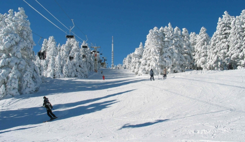 ტურიზმის სექტორი მთავრობას ღია წერილით მიმართავს