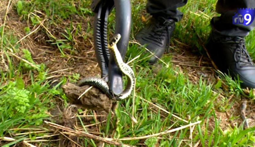 სამების სკოლაში სადეზინფექციო სამუშაოები ჩატარდა