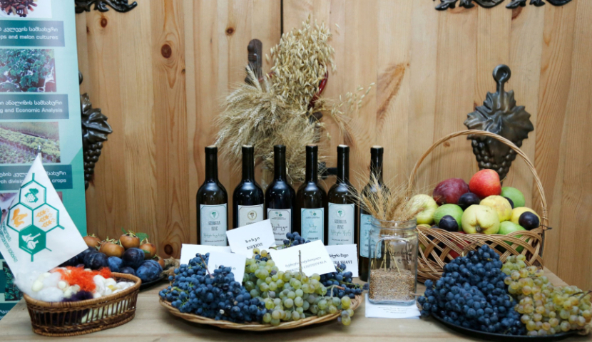 სამცხე-ჯავახეთში მესხური ვაზისა და ქართული ხორბლის ენდემური ჯიშების აღდგენა- გავრცელების პროექტი იწყება