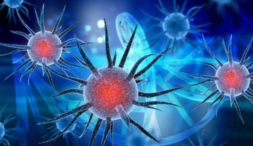 როგორია COVID 19 - ის ახალი შტამი - მითი თუ რეალობა