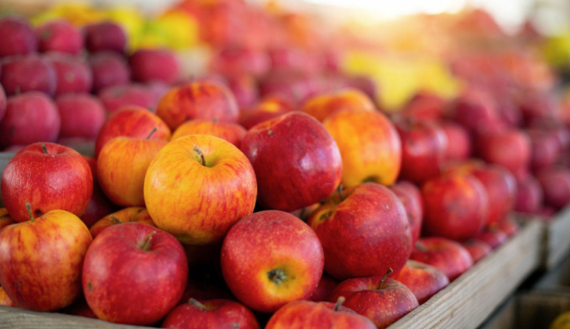 საქართველოდან ვაშლის ექსპორტის მოცულობა გაიზარდა