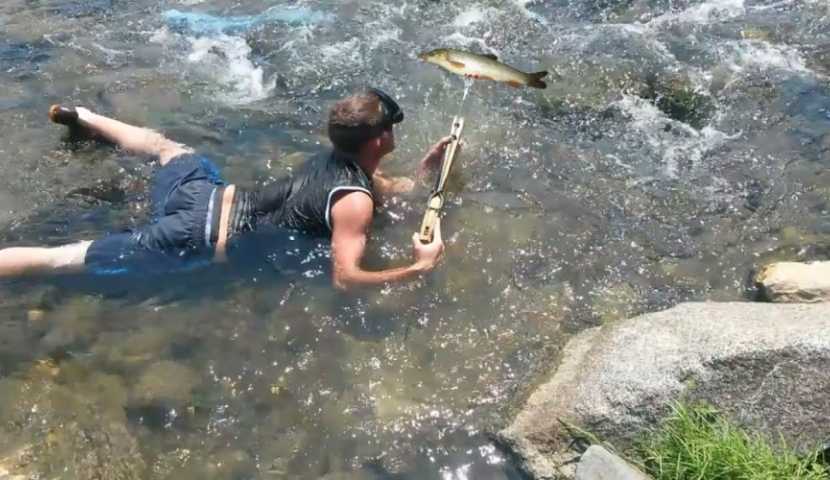 რამდენად იცნობ თევზაობის წესებს? (ქვიზი)