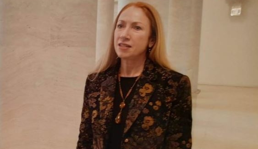 როგორ უნდა მიეცა ხელისუფლებას საქართველოში შემოსვლის ნება პირისთვის, ვინც არაერთხელ დაარღვია კანონები - აშშ-ს ელჩი