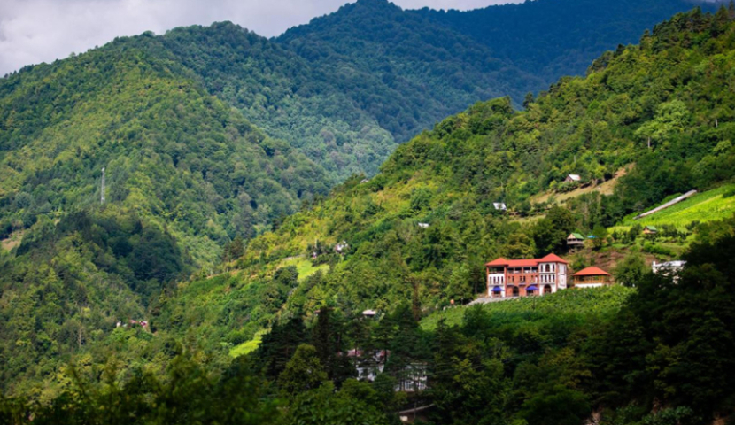წყალტუბო-ახალციხის გარკვეულ ტერიტორიებზე მოქალაქებს ქონებას იძულებით ჩამოართმევენ - მედია 