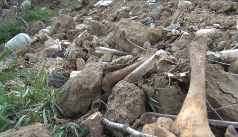 გახსნილი სამარხების ნიადაგის ნიმუშებს, ლაბორატორიაში იკვლევენ 