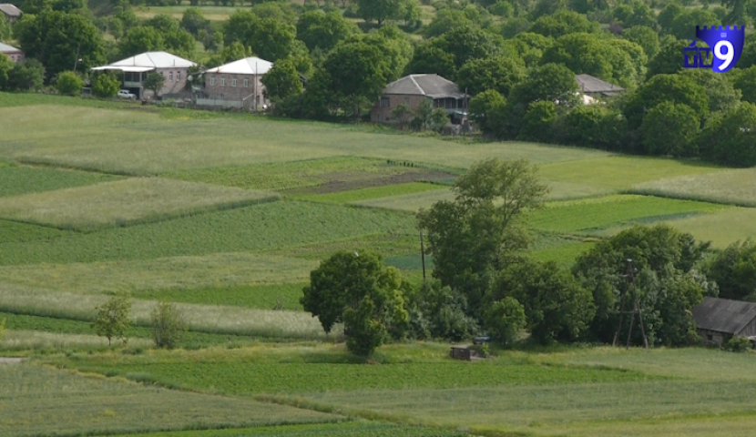 ფოტორეპორტაჟი სოფელ საძელიდან