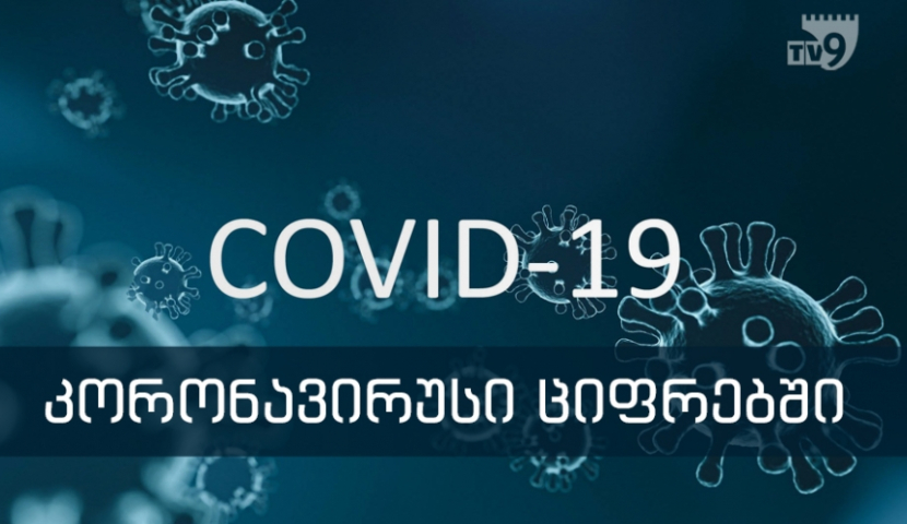 Ռեկորդային ցուցանիշ. Կորոնավիրուսի հետ ապրած 7 ամիսները