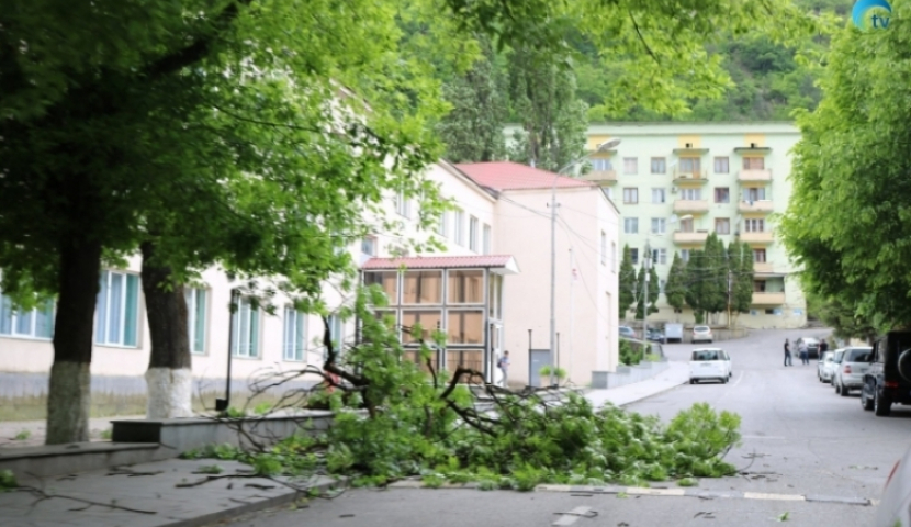 ძლიერმა ქარმა ხეები მოგლიჯა