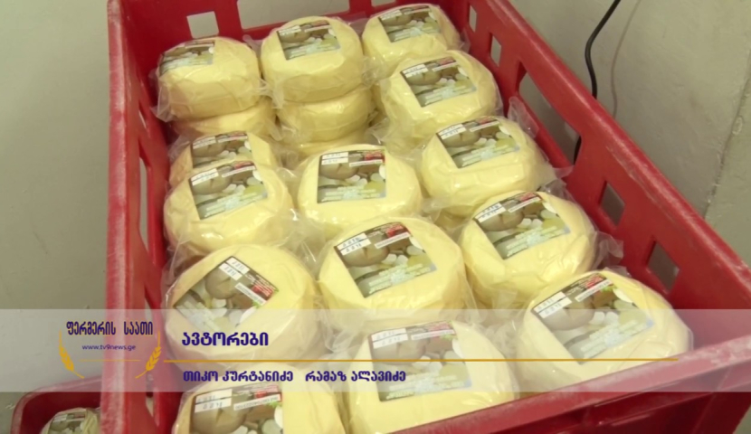 რძის პროდუქტების მწარმოებლებისთვის ახალი რეგულაციები ამოქმედდა