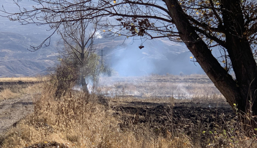 სოფელ ფარეხასთან ხანძარი იყო