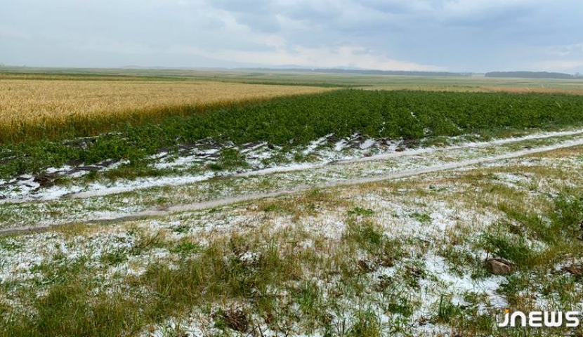 ახალქალაქის სოფელი მაჭატია მეორედ დაისეტყვა